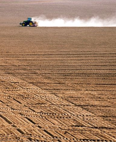 Tracteur dans un champ de blé, en amont de la farine transportée en citerne pulvérulente