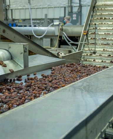Ligne de production alimentaire approvisionnée en vrac