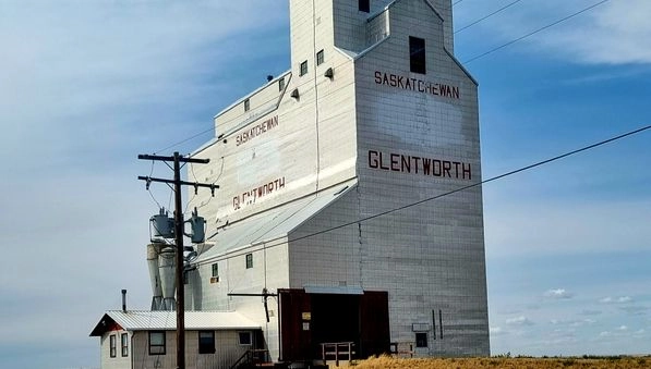 Déchargement de céréales dans un silo de coopérative